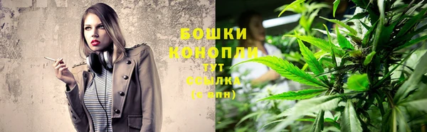 mdpv Богородицк