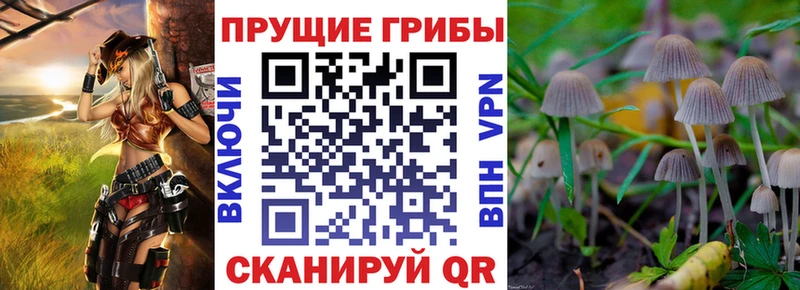 hydra зеркало  Мценск  Псилоцибиновые грибы ЛСД 