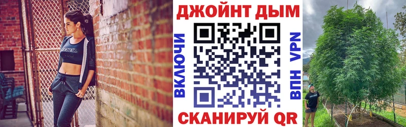 Шишки марихуана конопля  кракен как войти  мориарти формула  Мценск 